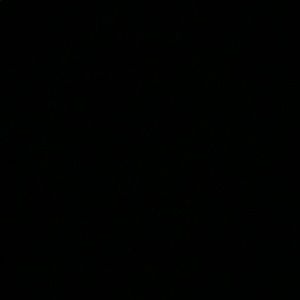 Meet your Posher, Taleah